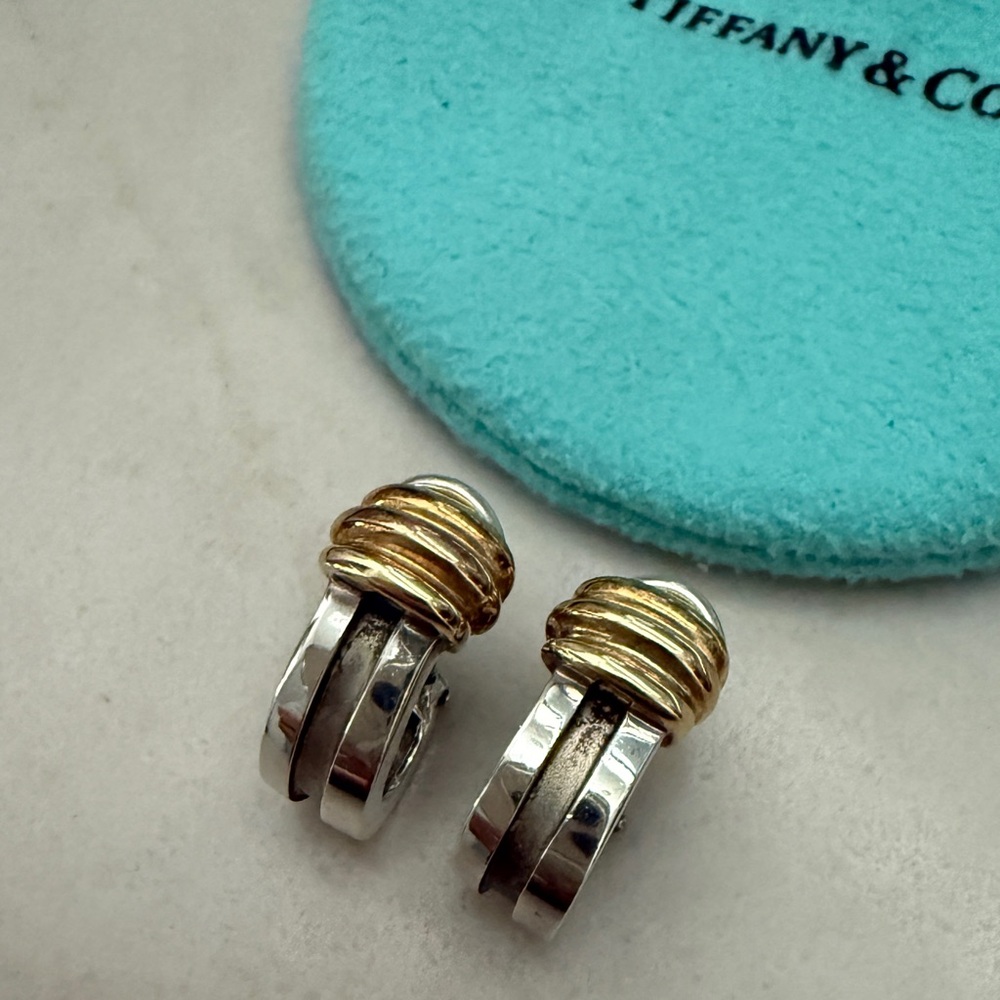 Tiffany Atlas Earrings